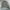 Eddie Bauer Casual Bomber jacket Wanita tan photo 3