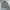 Eddie Bauer Casual Bomber jacket Wanita tan photo 1