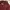 Ben Davis Vintage Casual Casual shirt Pria burgundy photo 3