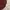 Ben Davis Vintage Casual Casual shirt Pria burgundy photo 5