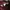 Ben Davis Vintage Casual Casual shirt Pria burgundy photo 7