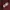 Ben Davis Vintage Casual Casual shirt Pria burgundy photo 8