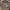 Vintage Streetwear Pria tan photo 5
