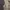 Vintage Streetwear Pria tan photo 8