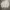 AURALEE Minimalist Sweatshirt Pria gray photo 2