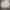 AURALEE Minimalist Sweatshirt Pria Gray