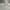 AURALEE Minimalist Sweatshirt Pria gray photo 3