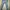 ADA Fashion Minimalist Casual Skinny jeans Wanita multicolor photo 2