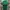 Nautica Vintage Casual Polo shirt Pria green navy photo 4