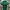 Nautica Vintage Casual Polo shirt Pria green navy photo 1