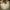 Kate Spade Minimalist Bags & Purse Wanita Tan