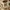 Kate Spade Minimalist Bags & purse Wanita tan photo 4