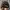 Chrome Hearts Skater Sportswear Hat Pria black photo 2