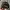 Chrome Hearts Skater Sportswear Hat Pria Black