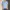 Acne Studios Minimalist Casual shirt Pria multicolor photo 1