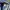 Acne Studios Minimalist Casual shirt Pria multicolor photo 4
