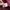 Vintage Casual Harrington jacket Pria burgundy photo 8