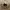 Carhartt Streetwear Hat Pria black photo 3