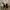 Carhartt Streetwear Hat Pria black photo 1
