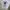 Streetwear Y2K T-shirt Pria multicolor white photo 2