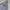 Russell Athletic Vintage Hoody Pria gray photo 2