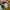 Uniqlo Casual T-shirt Pria yellow photo 6