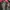 The North Face Casual Bomber jacket Pria red pink photo 2