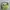 Coach Vintage Y2K Hobo bag Wanita green photo 2