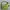 Coach Vintage Y2K Hobo bag Wanita green photo 1