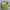 Coach Vintage Y2K Hobo Bag Wanita Green