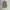 Carhartt Casual Denim jacket Pria brown photo 1