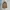 Carhartt Casual Denim Jacket Pria Brown