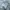 Polo Ralph Lauren Streetwear Y2K Formal shirt Pria blue photo 6