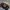 Japanese brand Biker Sportswear Track jacket Pria black yellow photo 2