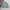 Polo Ralph Lauren Vintage Harrington Jacket Pria Green