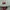 Dickies Streetwear Casual Hoody Pria white red photo 3