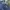 Lee Cooper Streetwear Casual Jeans Pria blue photo 3