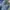 Lee Cooper Streetwear Casual Jeans Pria blue photo 4