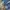 Lee Cooper Streetwear Casual Jeans Pria blue photo 5