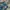 Jiniso Vintage Casual Jeans Pria blue photo 4
