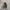 VANS Casual Sneakers Pria white black photo 6
