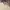 Hush Puppies Luxury Minimalist Casual shirt Pria multicolor photo 4