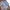 ZARA Luxury Minimalist Casual shirt Pria white blue photo 1