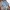 ZARA Luxury Minimalist Casual Shirt Pria White Blue