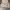 Carhartt Streetwear Y2K Vest Pria tan brown photo 3