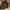 Y2K Skater Hat Pria Burgundy Brown