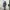 Japanese brand Streetwear Y2K Jeans Pria white black photo 6