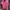 Tommy Hilfiger Minimalist Casual Shirt Wanita pink photo 1