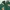 Vintage Casual Track jacket Pria green cream photo 2