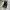 Dr. Martens Casual Boots Pria black photo 1